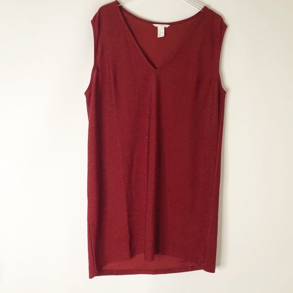 H&M Tops - H&M Shimmery Tunic Top or Dress